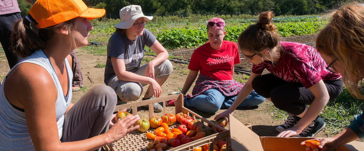Students at the Institute for Food kneel or sit on the ground as they look over baskets of harvested vegetables
