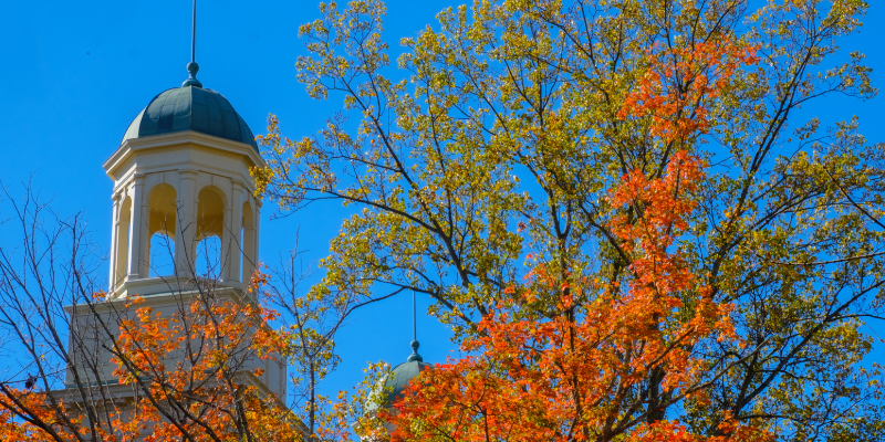 fall campus scene
