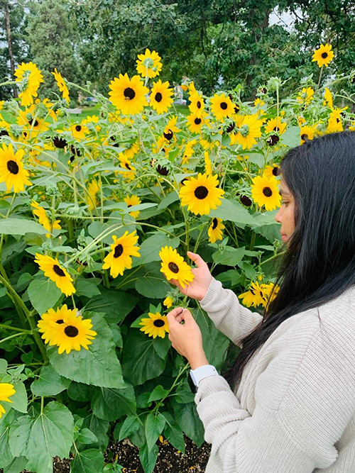 Priya Kodeboina standing in a field of sunflowers
