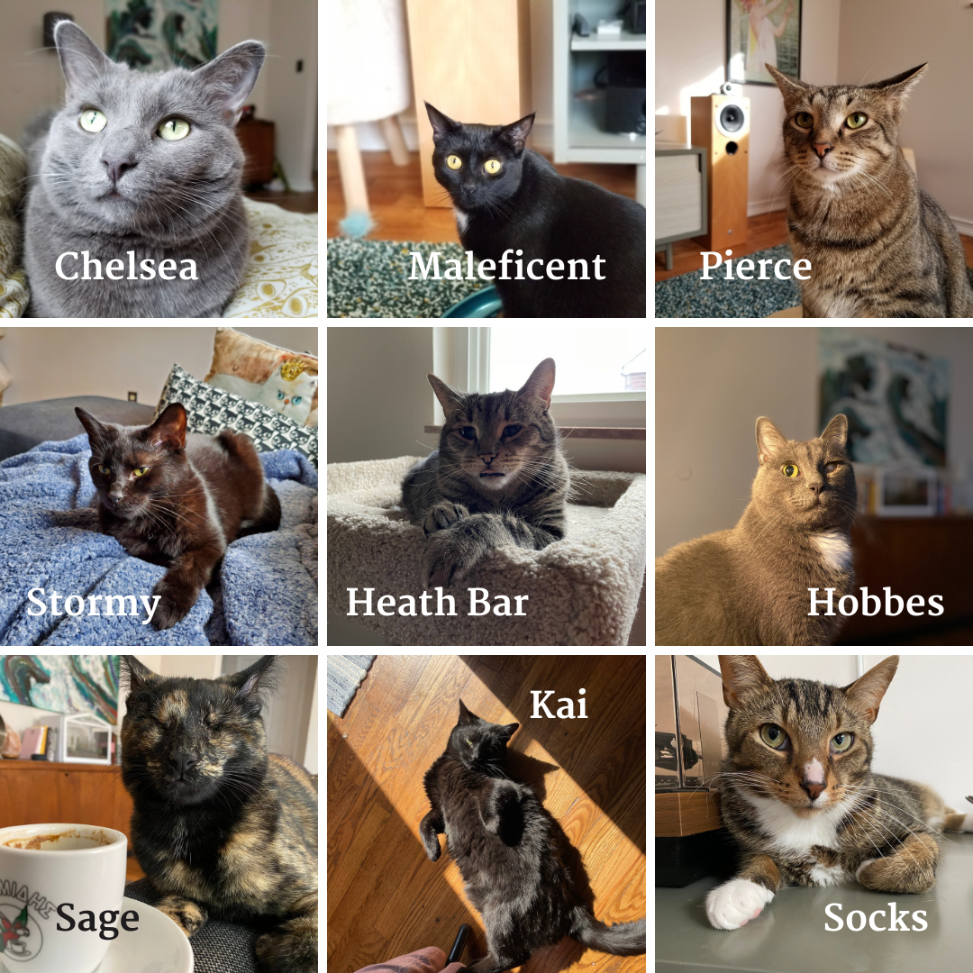 A photo collage of nine cats, including Chelsea, Maleficent, Pierce, Heath Bar, Stormy, Hobbes, Kai, Sage, and Socks