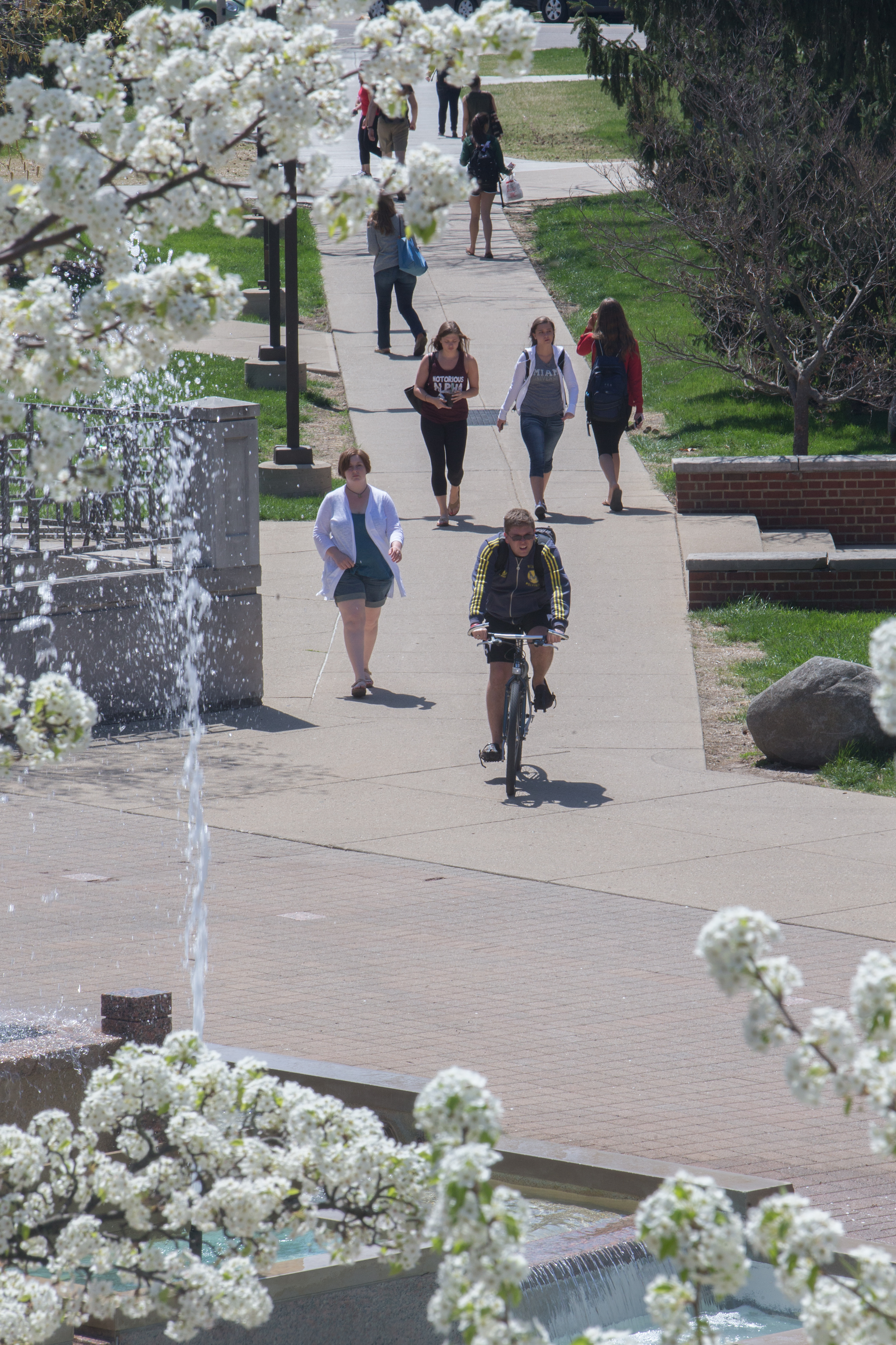 Students walk along the sidewalk in spring