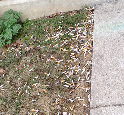Cigarrette butts cover a section of grounds at Miami.