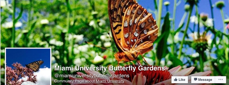 butterfly-garden-facebook-banner