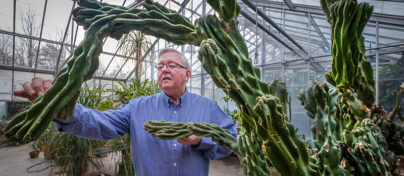 Jack Keegan, greenhouse manager and botany instructor, with a cactus plant in the Belk Greenhouse (all photos by Scott Kissell).