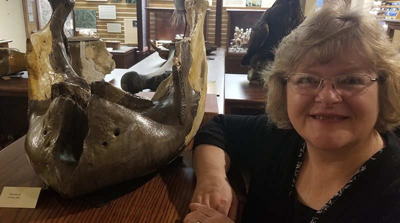 With more than 54,000 specimens in the museum, Julia Robinson has much to share.