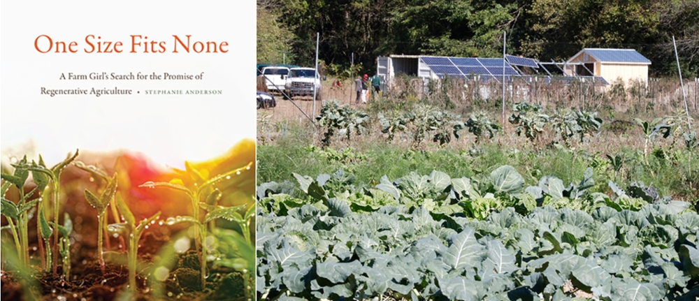 The summer reading program book, One Size Fits None,  explores how nontraditional farm operations can give back to the earth, rather than degrade it. Miami's Institute for Food farm (pictured here during installation of solar panels) puts regenerative agriculture into practice.
