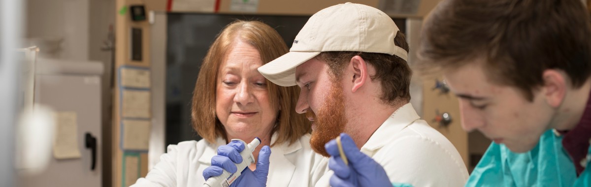  Professor Lori Isaacson assists students in her medical research lab