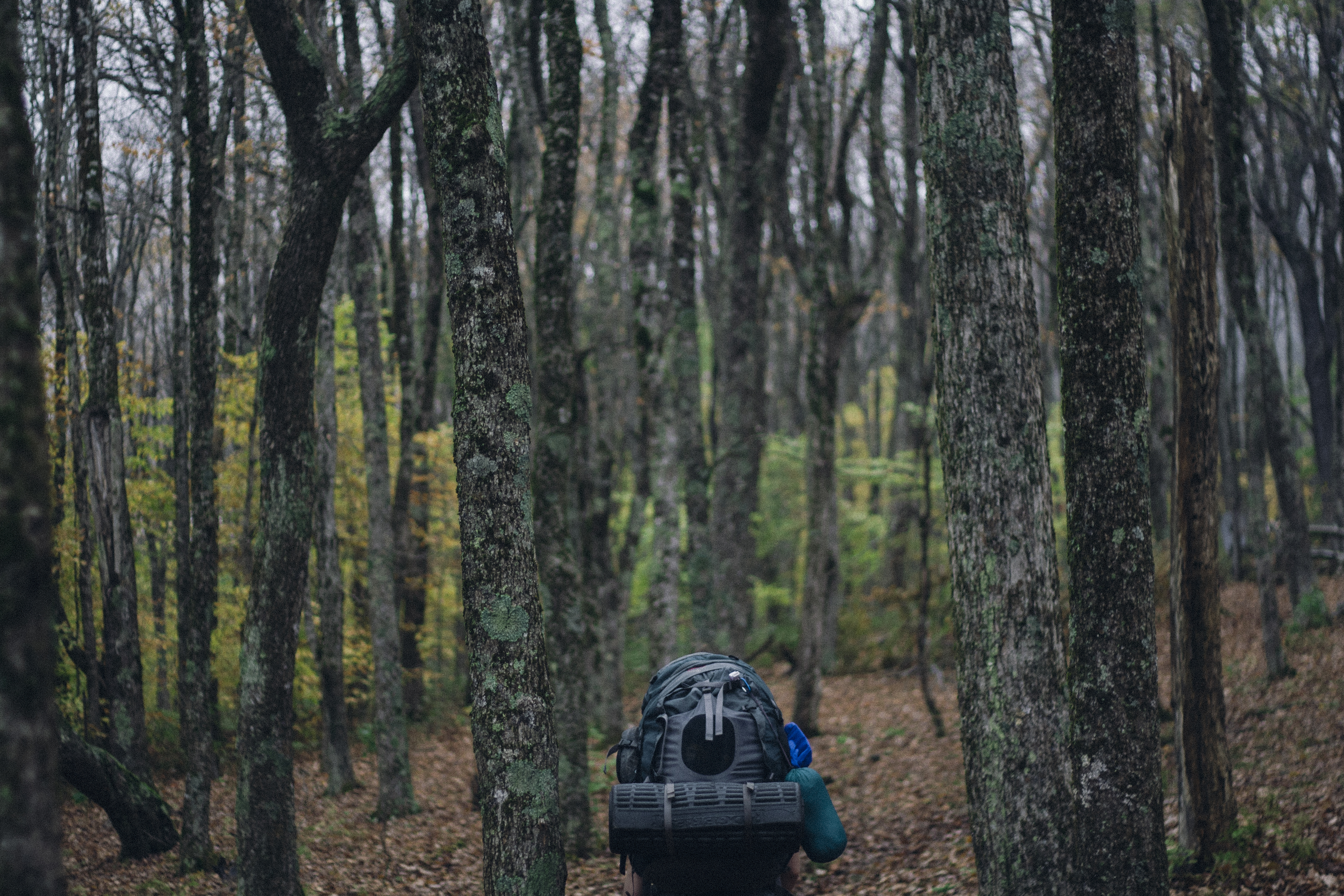 Appalachian Trail backpacking