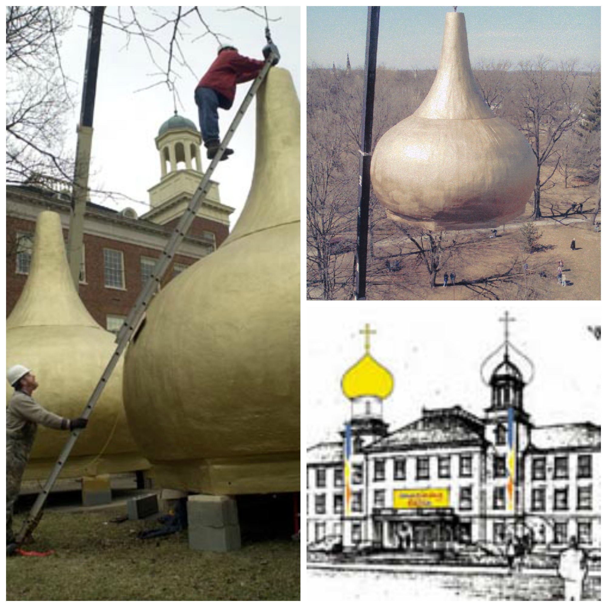 collage showing the installation of the havighurst domes