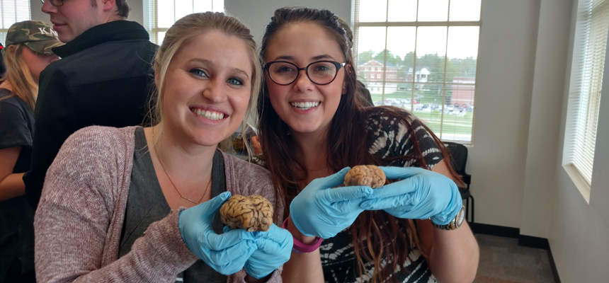  Students holding brain models