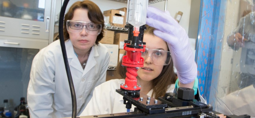 A faculty member and a student work on a lab