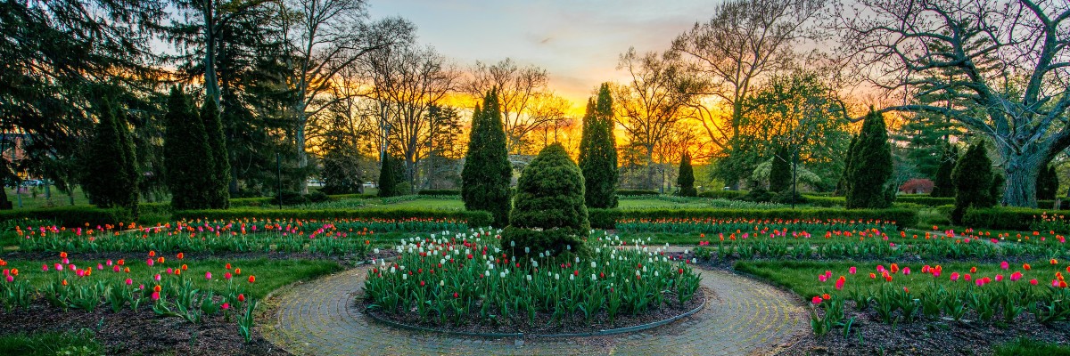  Formal gardens at sunrise
