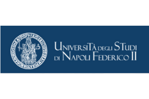 University of Naples logo