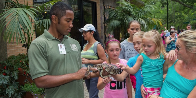 kids play with a turtle at a zoo