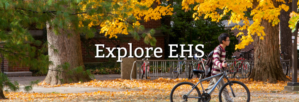 Miami's campus in the fall