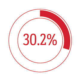 Donut chart showing 30.2%
