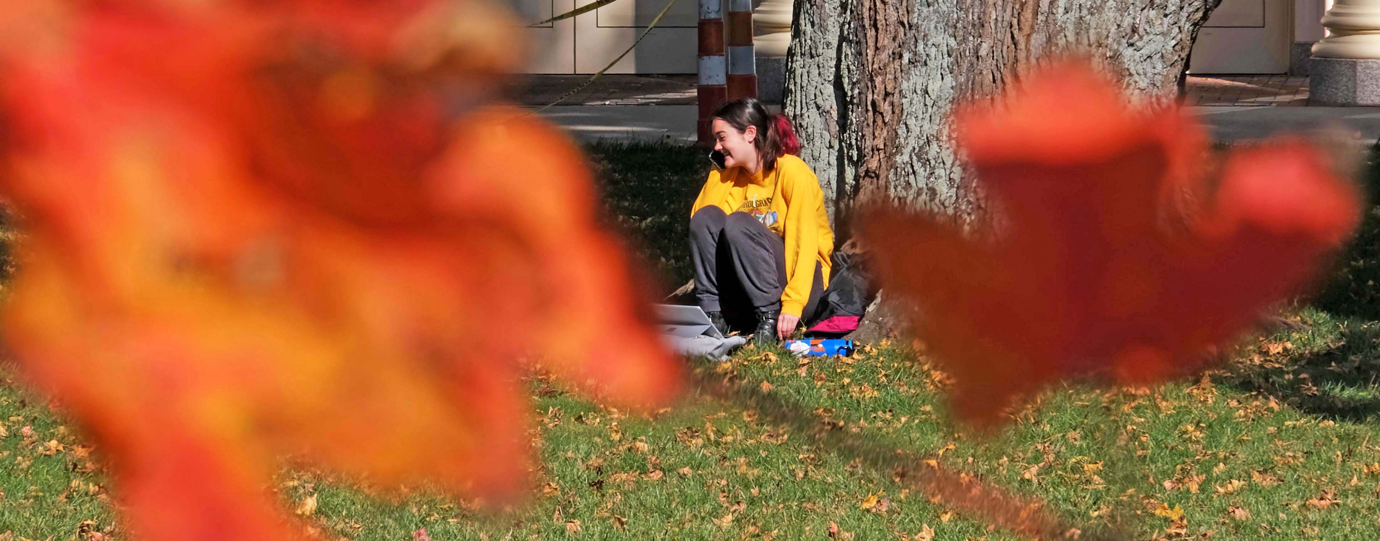 Student framed between fall leaves in front of FSB