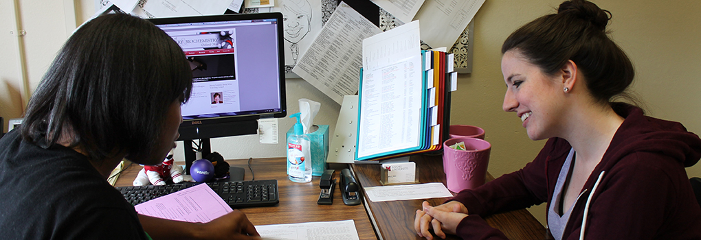 Student and academic advisor in consultation