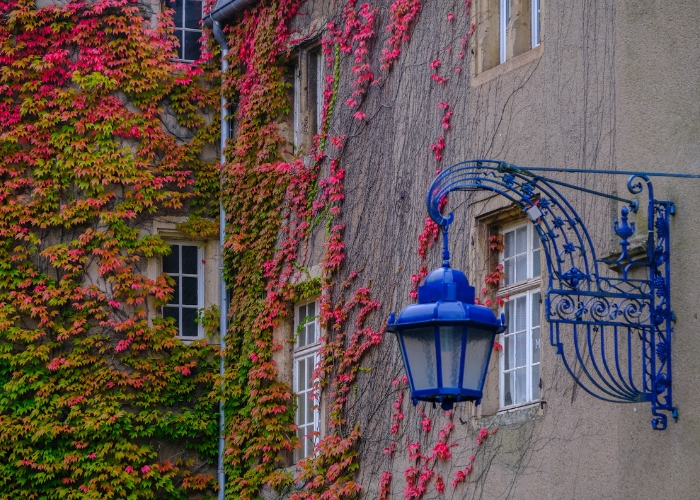 lantern outside MUDEC chateau