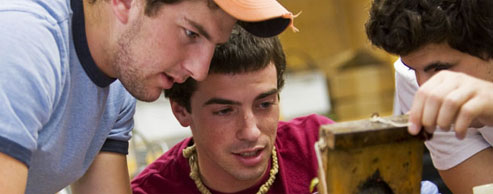 Three students conducting an experiment