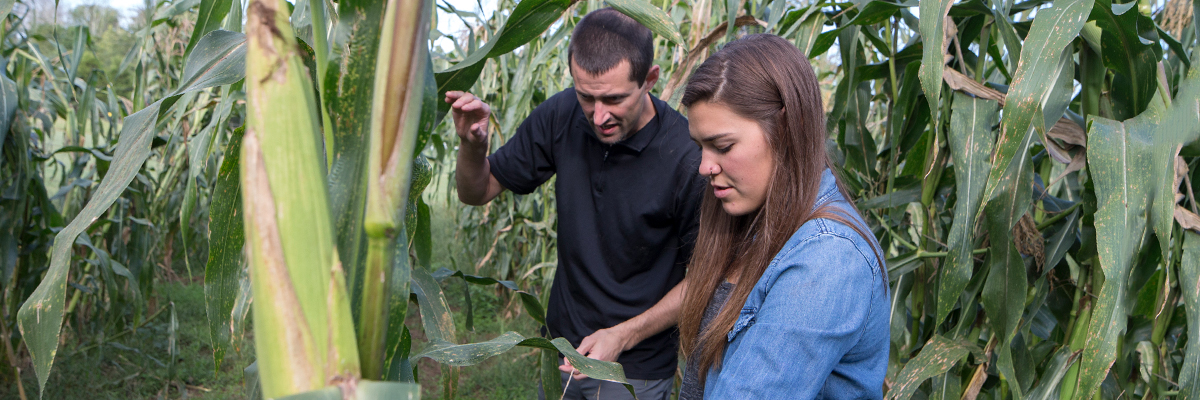  George Ironstrack and a student examine corn leaves in an ecology class.
