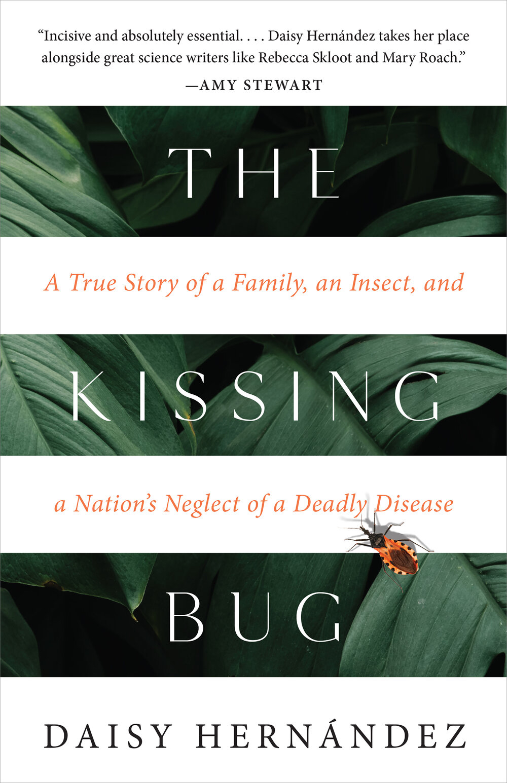 http://www.miamioh.edu/news/top-stories/2021/06/daisy-hernandez-the-kissing-bug-cover.jpeg