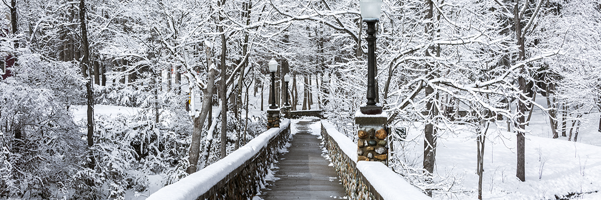 walking bridge covered in snow