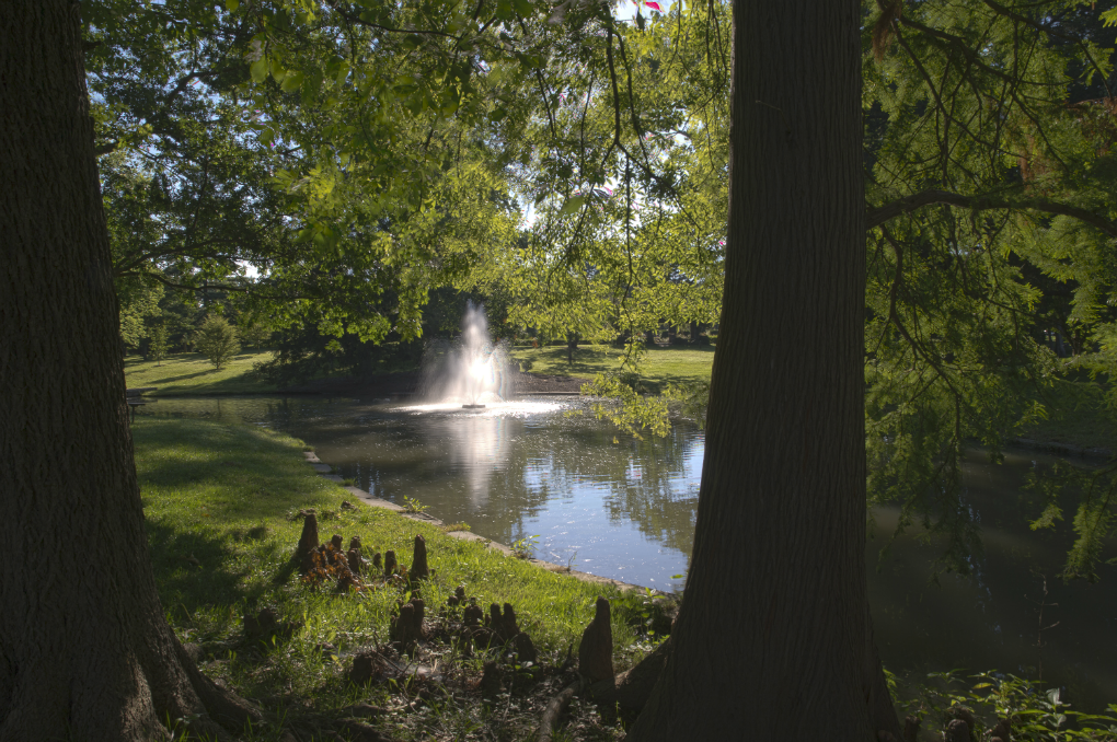  the fountain in the pond at dogwood grove. 