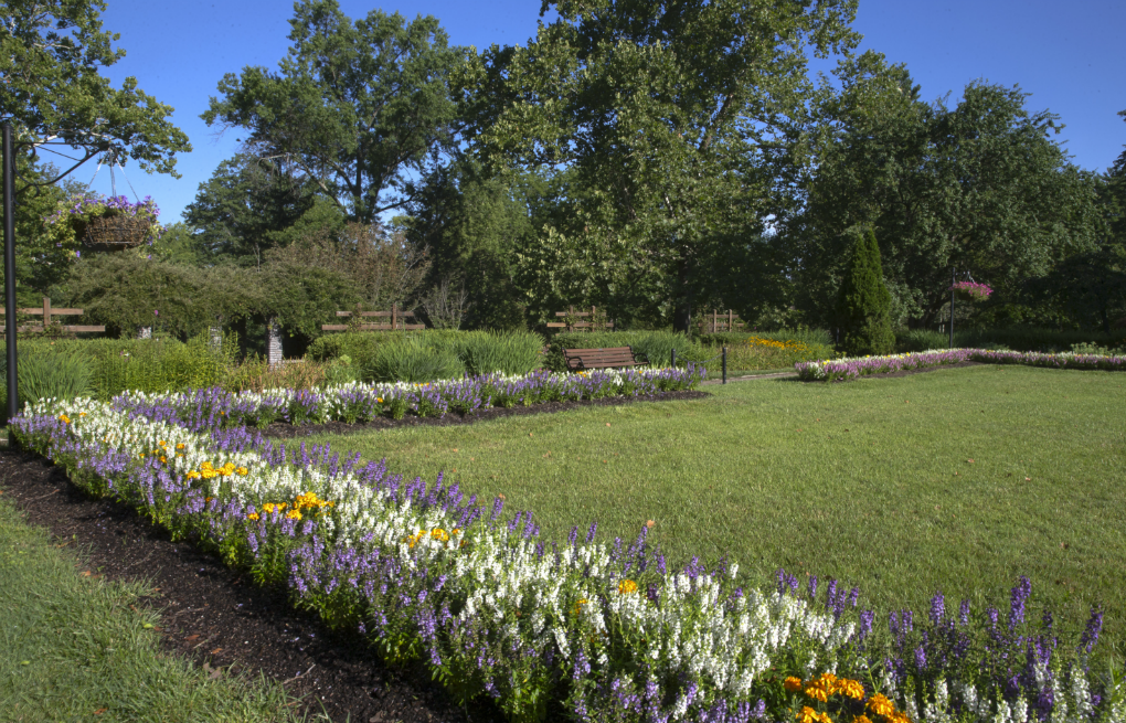  a corner of the central lawn in the formal gardens. 