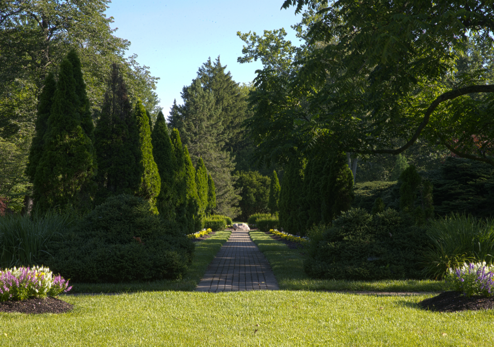 hedge lined pathway leading toward the north end of formal gardens