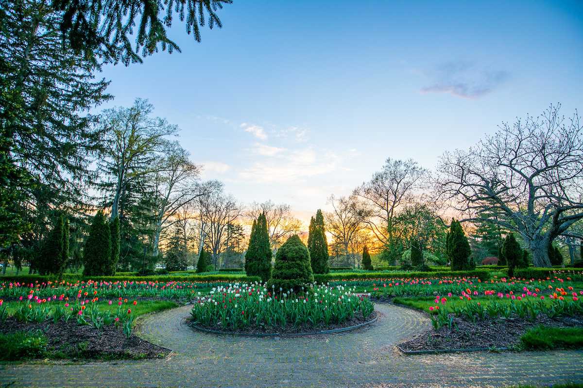  hedges in the formal gardens with a sunset