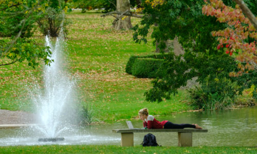 Girl laying on a bench in dogwood grove