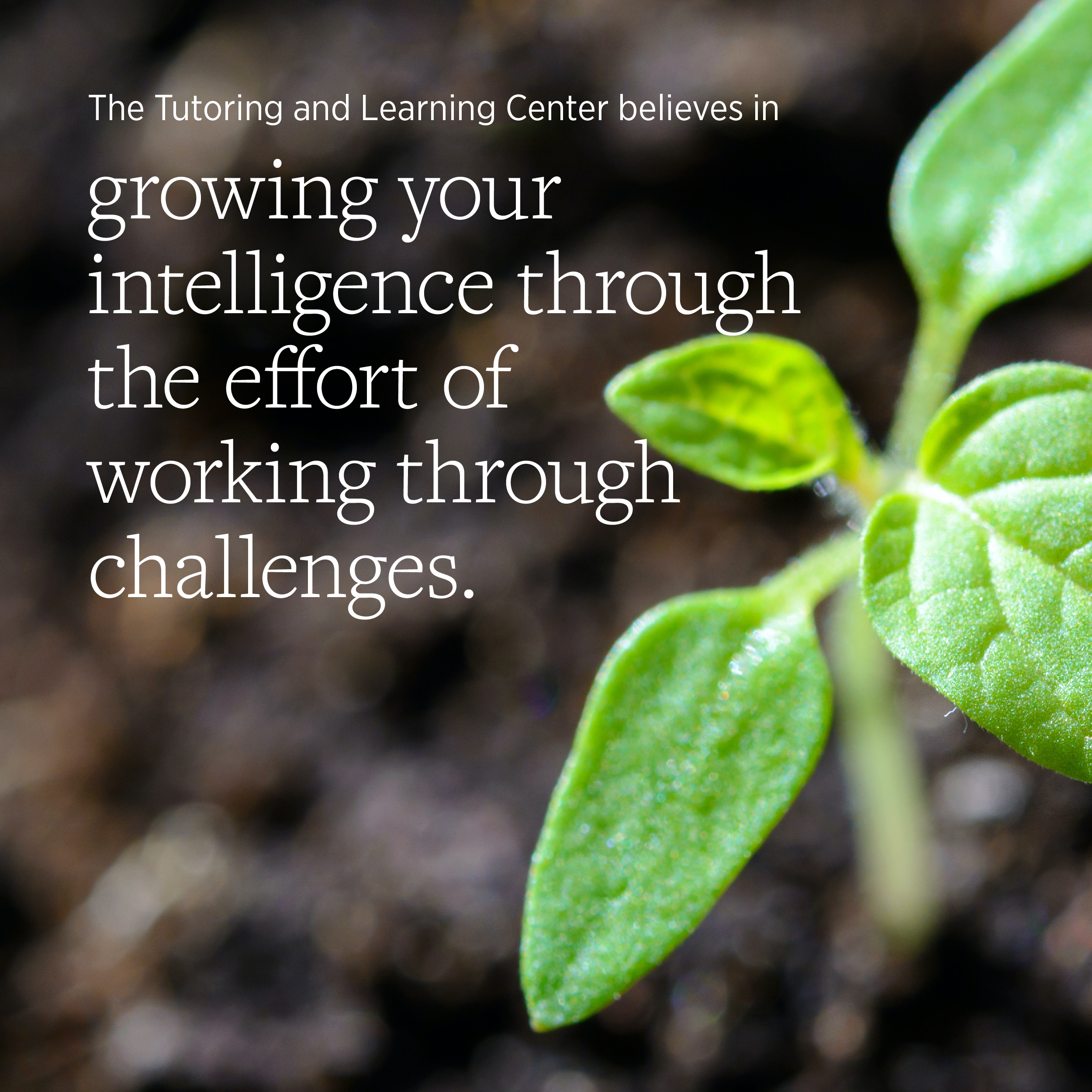 The Tutoring and Learning Center believes in growing your intelligence through the effort of working through challenges.