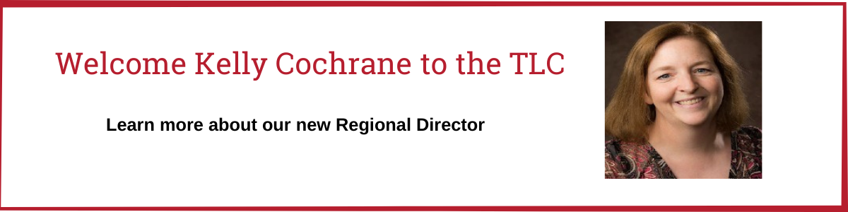 Meet our new director Kelly Cochrane