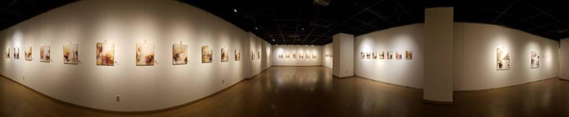 Cecilia Suhr art exhibit.