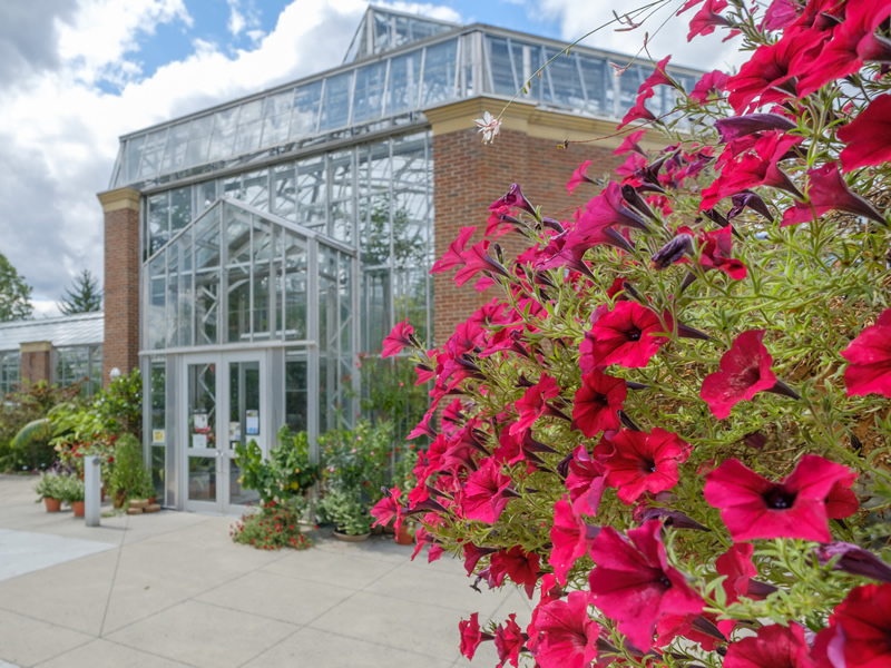 Exterior of the Conservatory