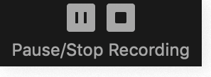 "Pause/Stop Recording" button in Zoom