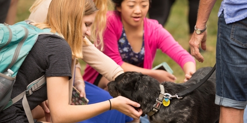  Students outside petting a black and gray dog