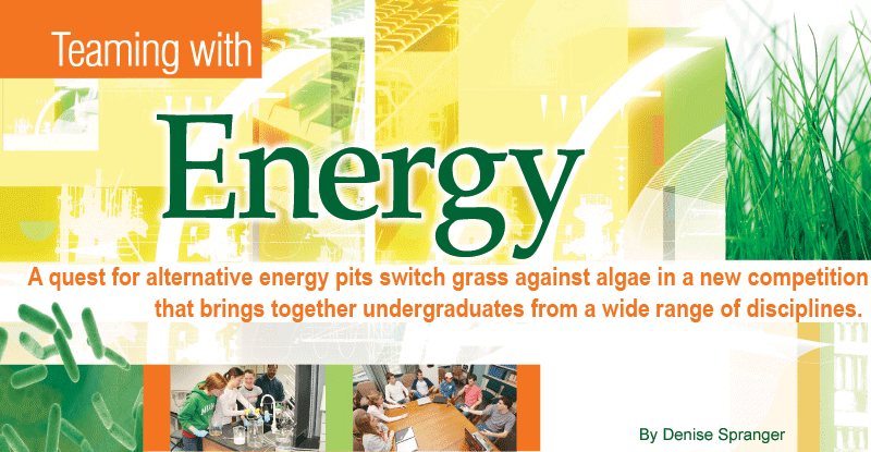 Teaming with Energy by Denise Spranger