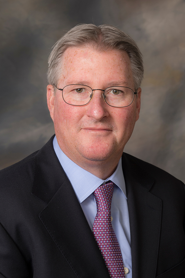 What is a dissertation image