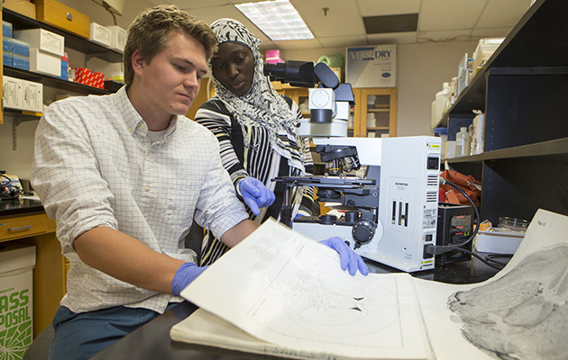 Two graduate students working in a Neuroscience Lab.