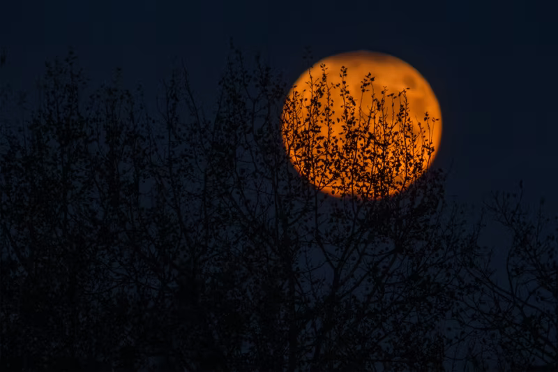orange moon over over dark landscape