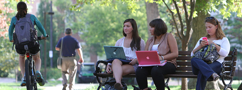 Students seated on a bench use laptops and phone. 