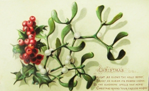 holly-card