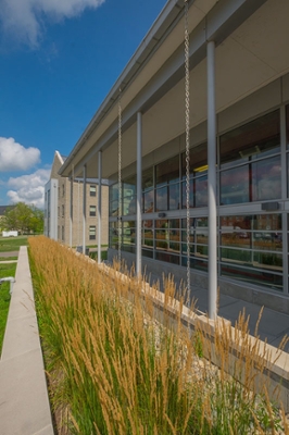 rain-garden-geothermal-plant