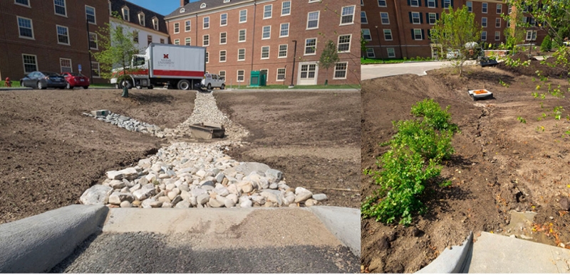 rain-gardens-in-prep