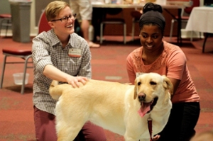 Students pet a therapy dog.