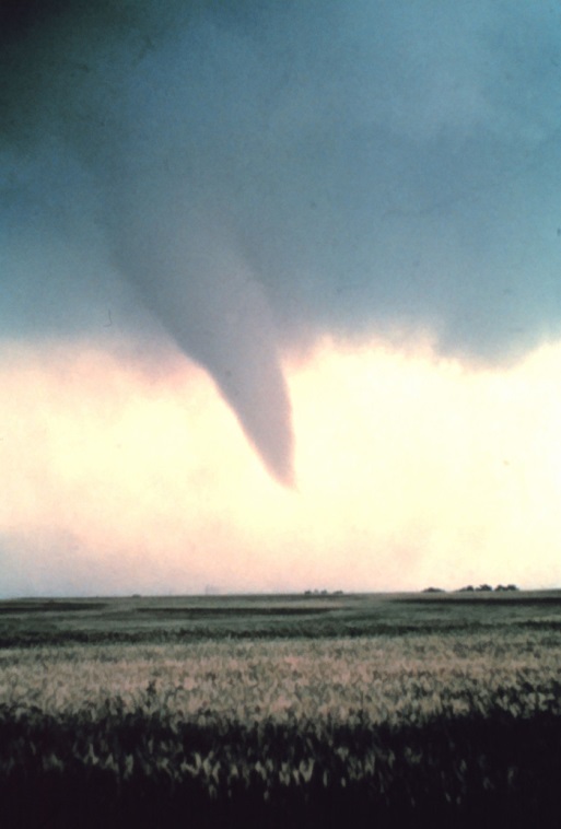 tornado in field