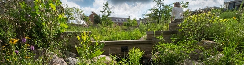 A seated person looks out toward a rain garden.