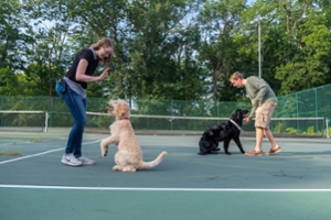 Students work with their service dogs in training